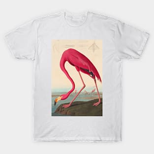 American Flamingo Robert Havell after John James Audubon 1838 Art Print T-Shirt